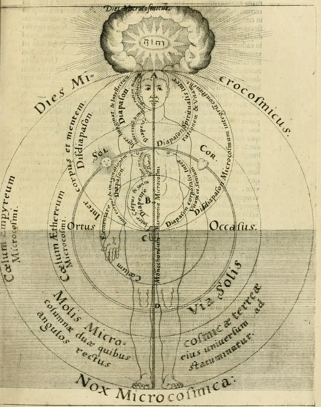 Conflation of macro - and microcosm in Utriusque Cosmi, Robert Fludd (1617)